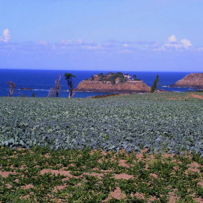 Photo de Fort du Guesclin